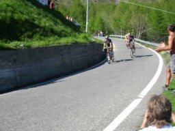 mortirolo (40)